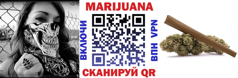 Купить закладки  Волхов  Бошки марихуана сатива 